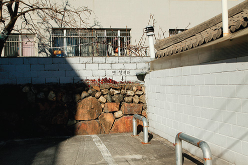 °¸ª½Ã³» À¾¼º ¼ºº®ÅÍ