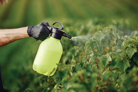 ��� ����(1)