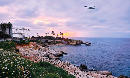 ��ȣ�� �ں� �غ� ǳ��