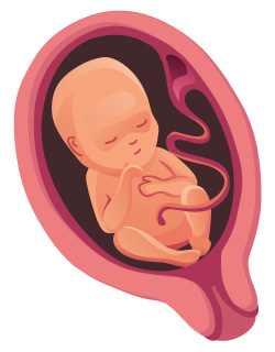 �¾� �׸�(1)