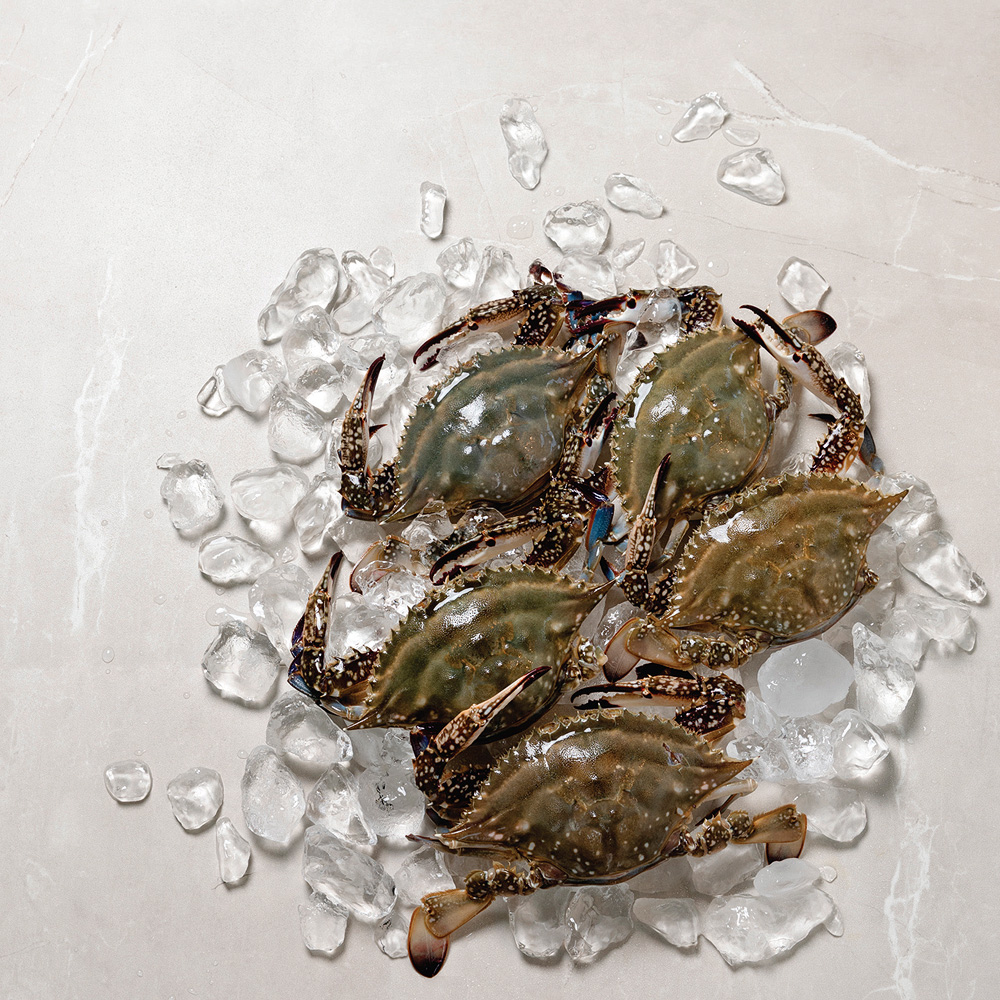 �ɰ� ����(1)