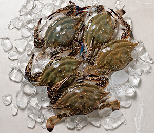 �ɰ� ����(2)