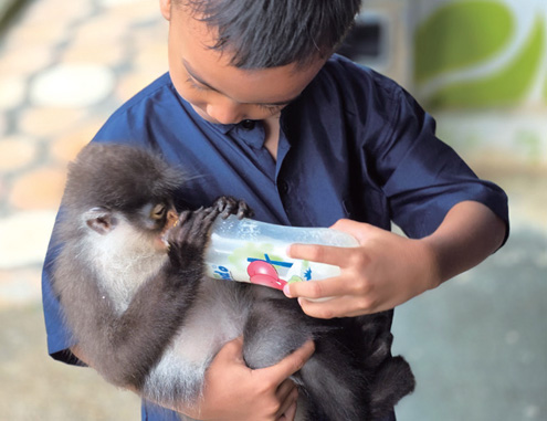 �Ʊ�����̿� �ҳ�