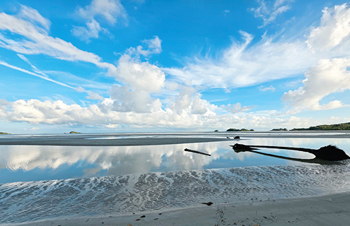 ��ź ����� �غ�