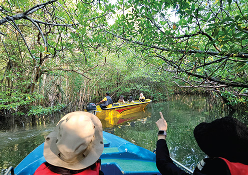 ��Ʈ����