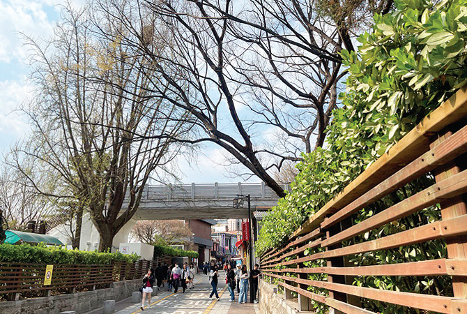 �������(3)