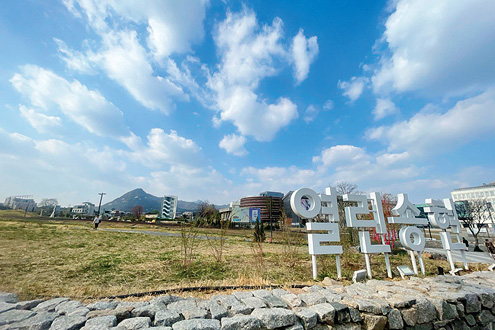 ������ȭ����