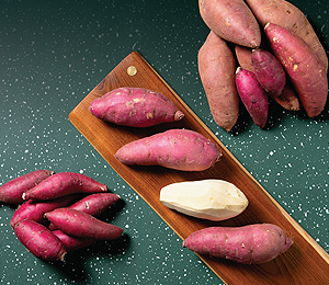 ������ ����(2)