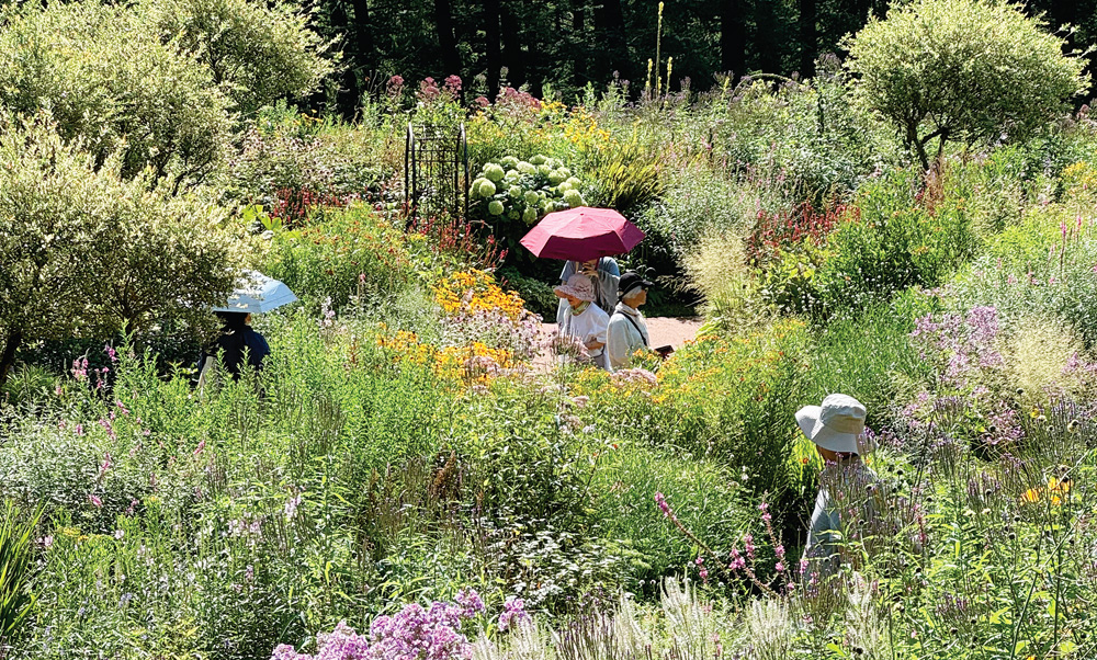 �ٶ�������(2)