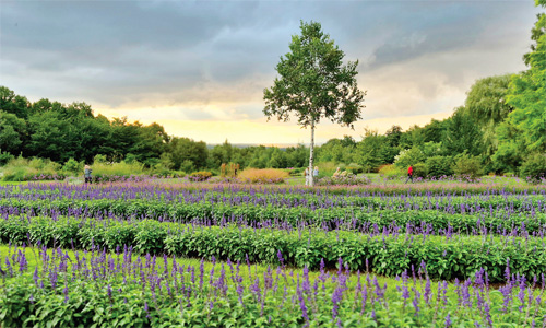 �����ֽ� ǳ��