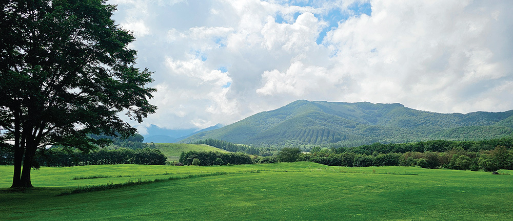 ��īġõ���� ��