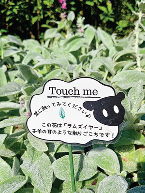 �ٶ��� ���� �����̾� ǥ����(1)